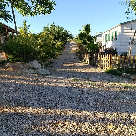 Finca Los Pedrenales Villa Castelserás Dış mekan fotoğraf